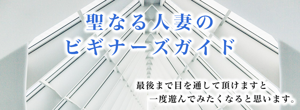 聖なる人妻のビギナーズガイド