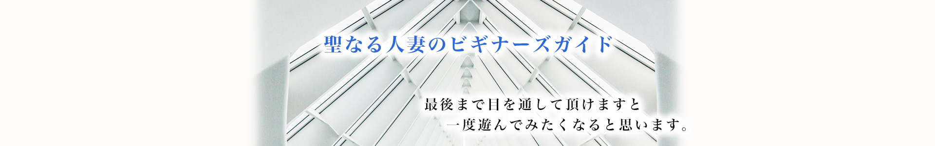 聖なる人妻のビギナーズガイド